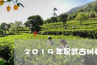 2019年易武古树春茶价格/2023052778703