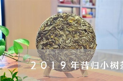 2019年昔归小树茶/2023071663025