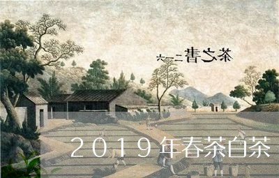 2019年春茶白茶/2023121592726