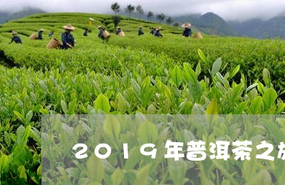 2019年普洱茶之旅/2023080334727