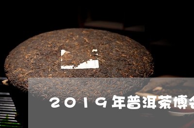 2019年普洱茶博会/2023073108190