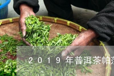 2019年普洱茶帕莎/2023100793604