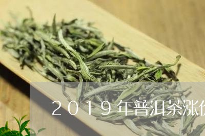 2019年普洱茶涨价/2023062871818