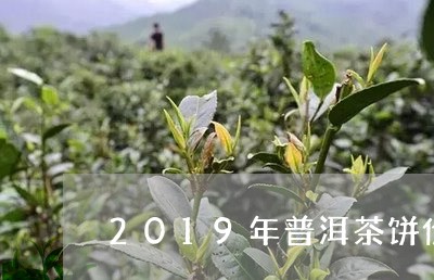 2019年普洱茶饼价格/2023110184814