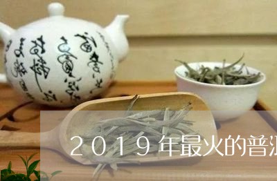 2019年最火的普洱茶/2023120707170