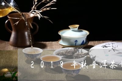 2019年熟普洱茶饼价格/2023082883960