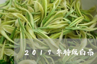 2019年特级白茶/2023071337381