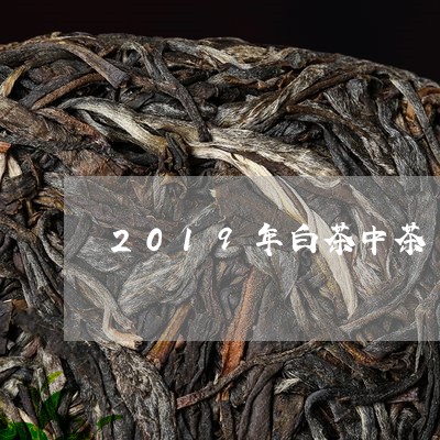 2019年白茶中茶/2023121565079