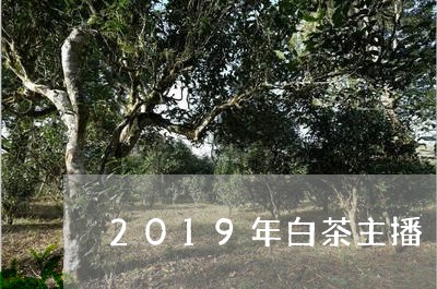 2019年白茶主播/2023121583727