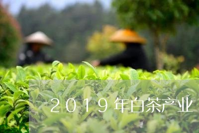 2019年白茶产业/2023071365269