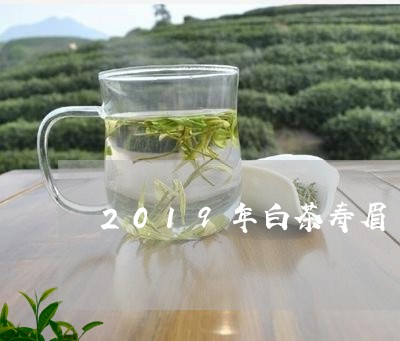 2019年白茶寿眉/2023120521815