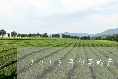 2019年白茶的产量/2023092773825