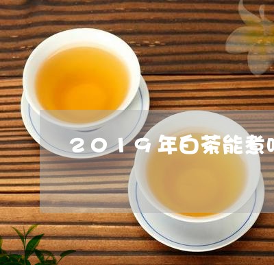 2019年白茶能煮吗/2023092703837