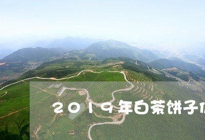 2019年白茶饼子价格/2023082583927