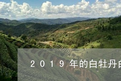 2019年的白牡丹白茶好喝吗/2023111572058