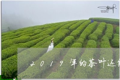 2019年的茶叶还能喝吗/2023051249482