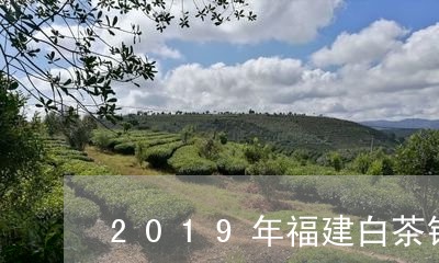 2019年福建白茶销量/2023092248280