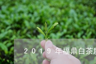 2019年福鼎白茶质量/2023092289703