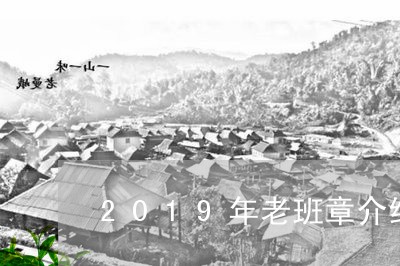 2019年老班章介绍/2023092448383