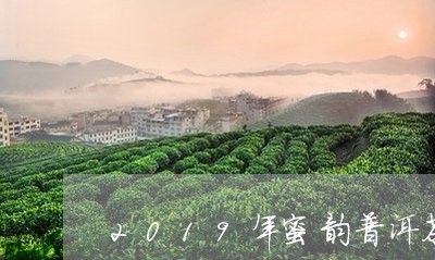 2019年蜜韵普洱茶/2023080173735