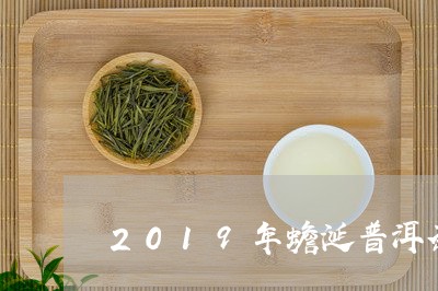 2019年蟾涎普洱茶/2023062781705