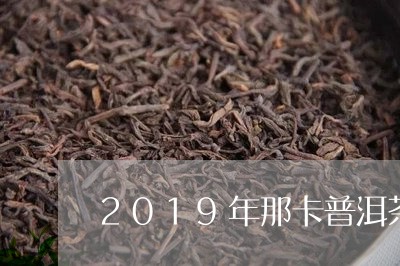 2019年那卡普洱茶价格多少钱/2023060226248