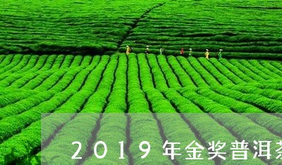 2019年金奖普洱茶/2023080264857