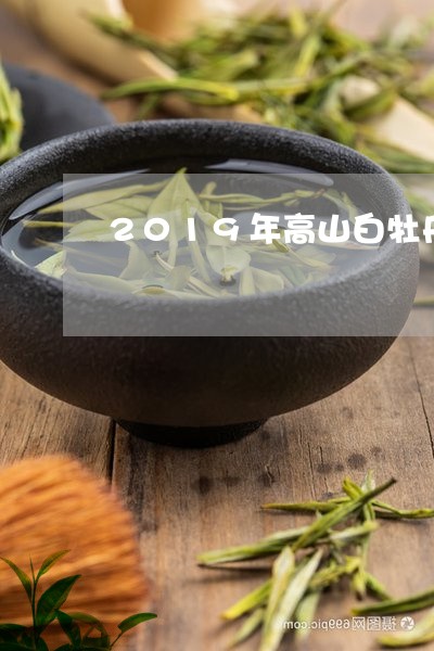 2019年高山白牡丹/2023120993036