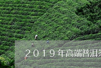 2019年高端普洱茶/2023080126049