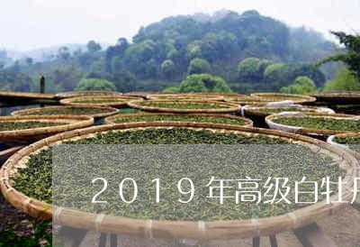 2019年高级白牡丹/2023120923826