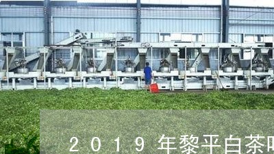 2019年黎平白茶叶/2023092761616