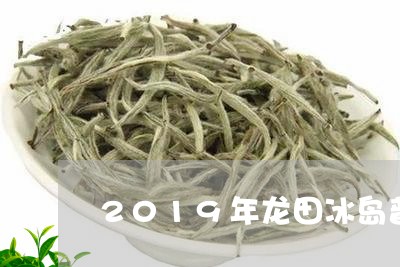 2019年龙田冰岛普洱生茶/2023052756281