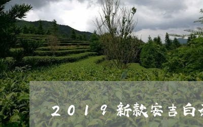 2019新款安吉白茶/2023092720692