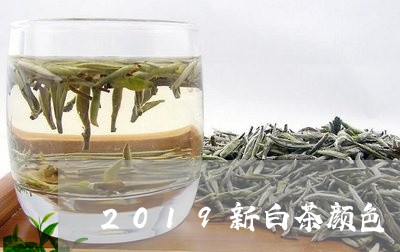 2019新白茶颜色/2023121530391