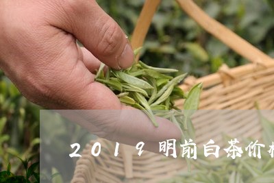 2019明前白茶价格/2023092735916