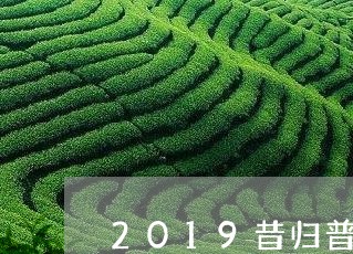 2019昔归普洱茶廖氏普洱价格/2023060273646