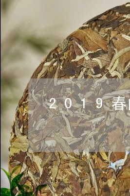 2019春白茶冲泡/2023111792805