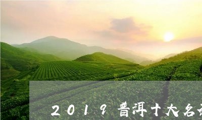 2019普洱十大名茶/2023092506039