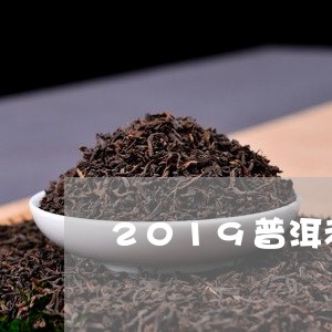 2019普洱老茶拍卖价格大汇总/2023060315159