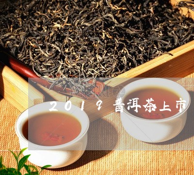 2019普洱茶上市/2023070935036