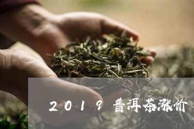 2019普洱茶涨价/2023070951836