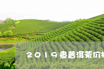 2019查普洱茶价格/2023062728281