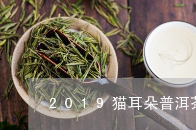 2019猫耳朵普洱茶/2023101782474