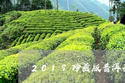 2019珍藏版普洱茶/2023120606251