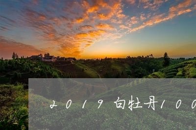 2019白牡丹100g礼盒/2023062854837