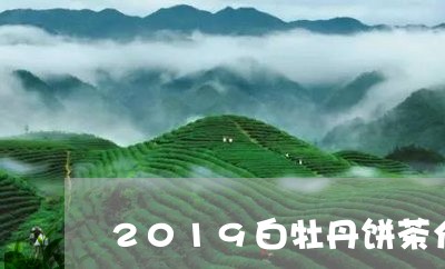 2019白牡丹饼茶介绍/2023092325048