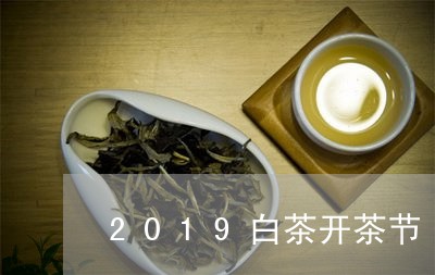 2019白茶开茶节/2023071317381