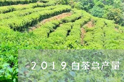 2019白茶总产量/2023121555038