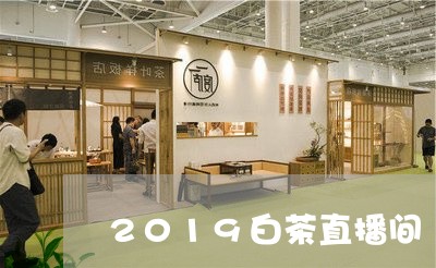 2019白茶直播间/2023121558370