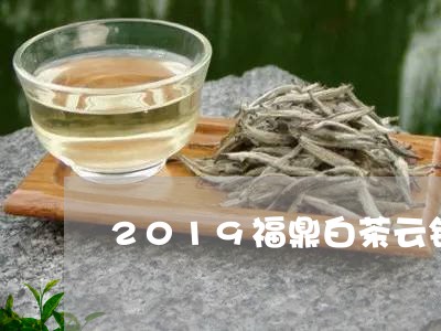 2019福鼎白茶云锦/2023092015159